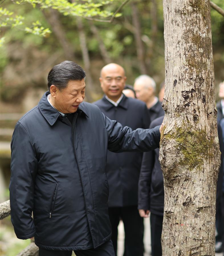 Xi inspecciona provincia noroccidental china de Shaanxi