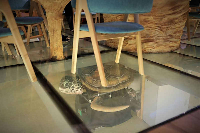 Abre un restaurante con temática de robots tortuga en Shanghai