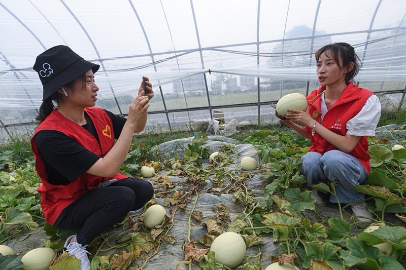 Voluntarios ayudan a los agricultores de bajos ingresos a vender sus productos
