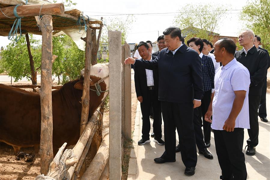 Xi inspecciona Ningxia en noroeste de China