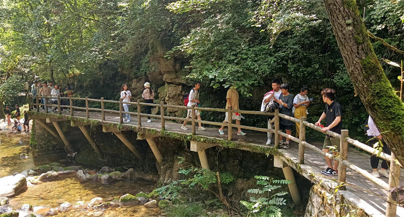 Parque Forestal Niubeiliang: bosques que purifican y almacenan el agua de la nación