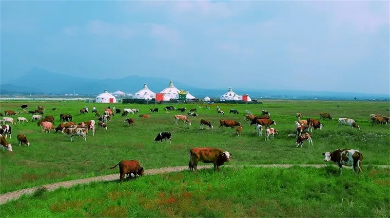 Hohhot, famosa ciudad histórica en la Ruta del Té