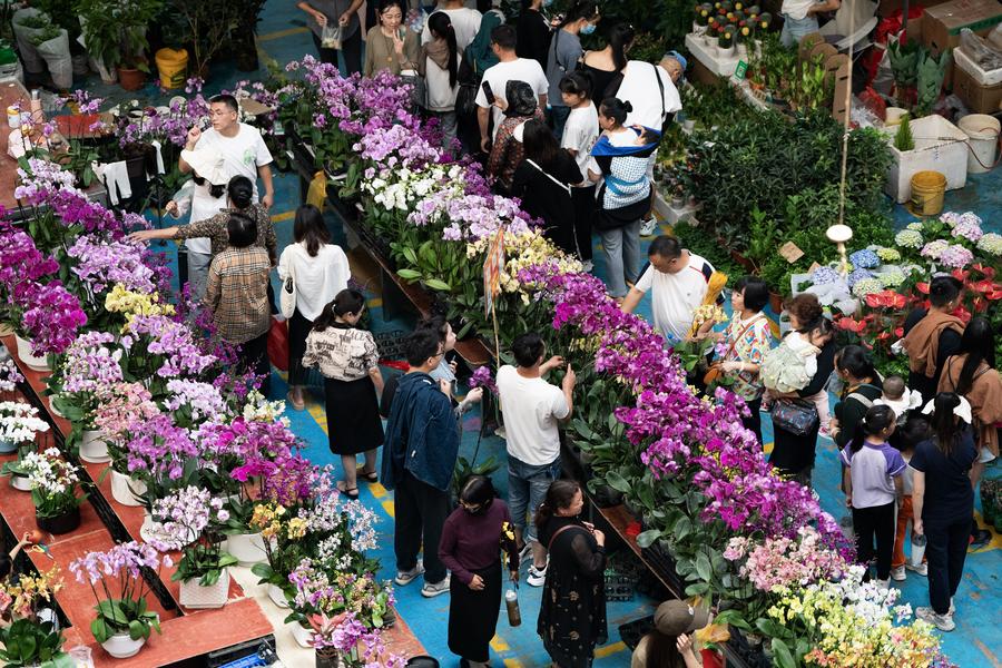 Industria de flores prospera en Dounan de China