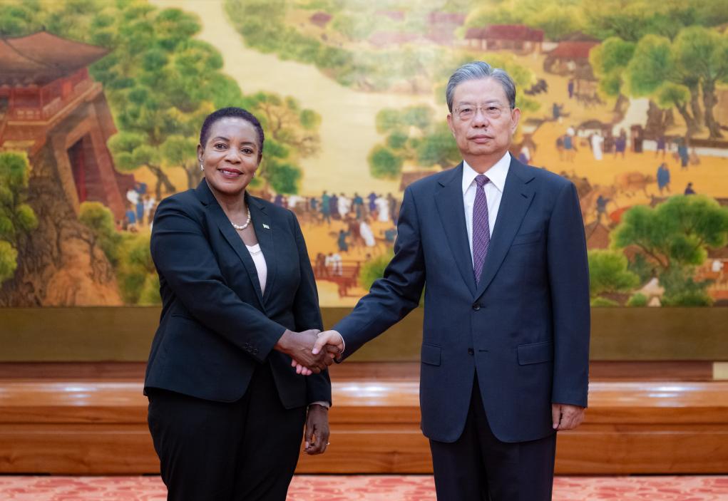 Máximo legislador de China conversa con presidenta de Asamblea Nacional de Zambia