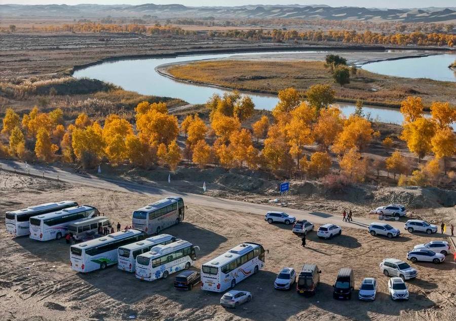 Esta foto aérea muestra autobuses y otros vehículos de turistas aparcados en Huludao, en el distrito de Yuli de la región autónoma uygur de Xinjiang, noroeste de China, el 26 de octubre de 2024. (Xinhua/Hu Huhu)