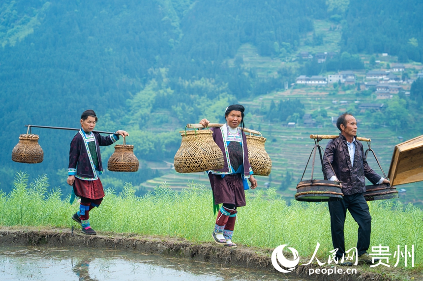 Se celebra desfile de moda étnica en las terrazas Jiabang de Congjiang, Guizhou