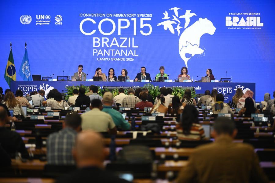 COP15 amplía protección global de especies migratorias y refuerza liderazgo de Brasil