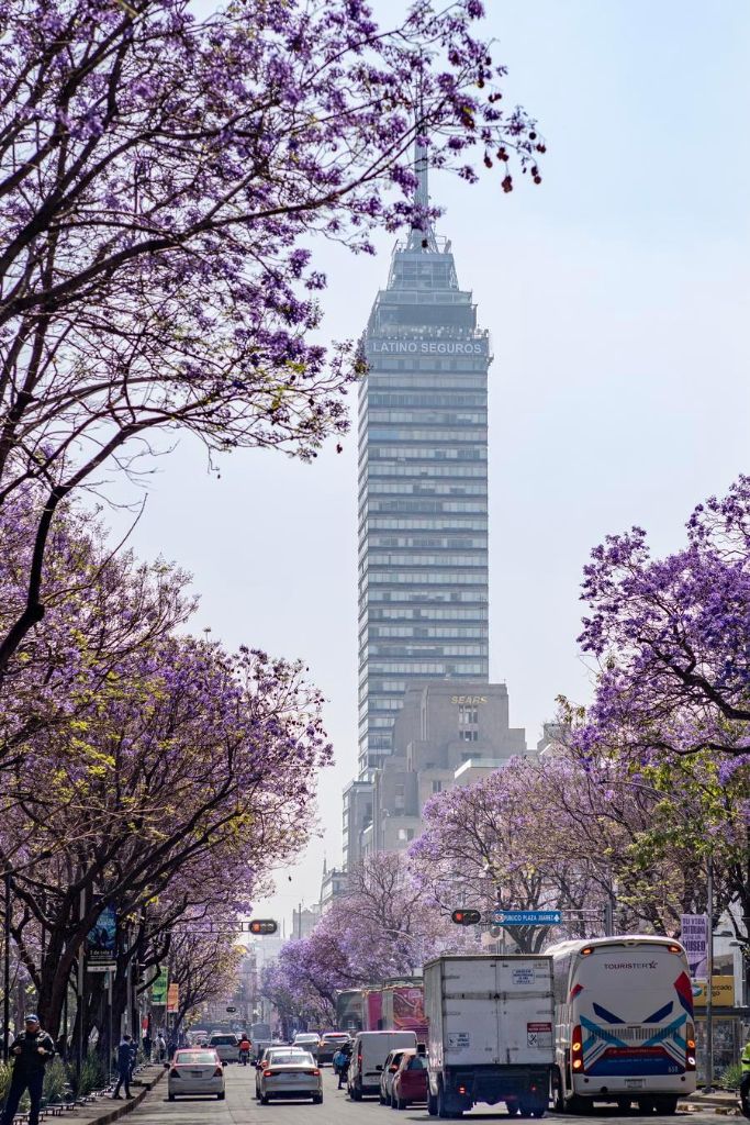 Incertidumbre frena inversión y limita perspectivas de crecimiento económico de México, advierte sector privado