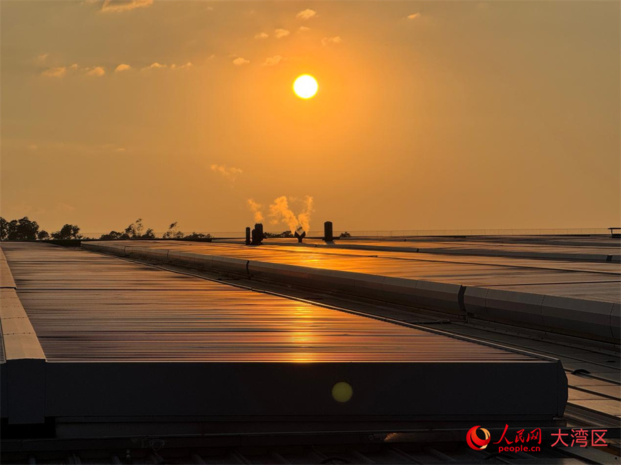 Shenzhen, una ventana al futuro | Una ciudad hacia un futuro de cero emisiones de carbono