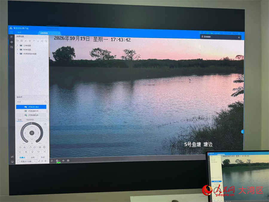 Shenzhen, una ventana al futuro | Una ciudad hacia un futuro de cero emisiones de carbono