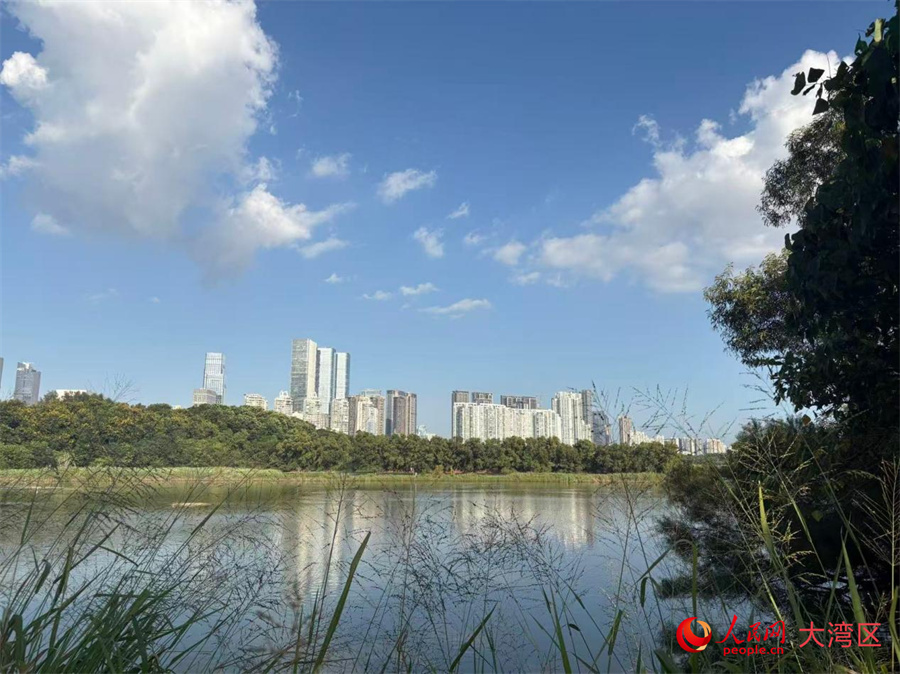 Shenzhen, una ventana al futuro | Una ciudad hacia un futuro de cero emisiones de carbono